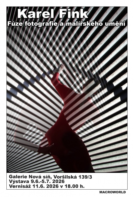 Karel Fink