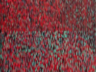 thmb-2362-2132.jpg