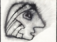 thmb-3156-2249.jpg