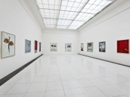 thmb-2914-2367.jpg