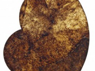 thmb-4033-2946.jpg