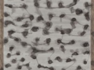 thmb-4064-3019.jpg