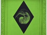 thmb-7-tydnu-olej-na-platne-2008-3072.jpg