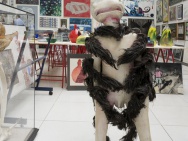 thmb-dsc08322-4927.jpg