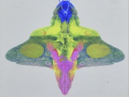 thmb-martin-nemec-rorschachuv-test-v-2016-5665.jpg