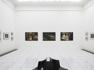 thmb-instalace-6073.jpg