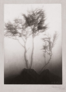 frantisek-drtikol-zeme-rodicka-1934-vintage-gelatin-silver-print-284x204-cm-6261.jpg