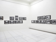 thmb-instalace-6436.jpg