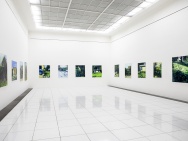 thmb-instalace-7416.jpg