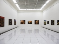 thmb-instalace-7589.jpg
