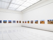thmb-instalace-7923.jpg