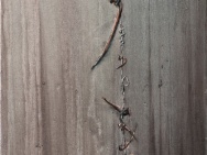 thmb-0010493-7964.jpg