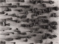 thmb-dalibor-chatrny-drevene-uhli-1993-asamblaz-kombinovana-technika-na-desce-8279.jpg