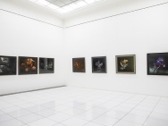 thmb-2r2a7487-8571.jpg
