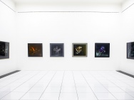 thmb-2r2a7492-8574.jpg