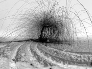 thmb-jakub-amler-9904.jpg