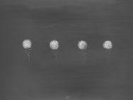 thmb-vaclav-vohlidal-ctyri-koule-akryl-na-platne-2022-70x100-cm-10567.jpg