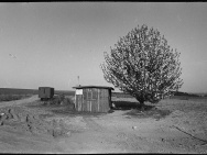 thmb-divci-hrady-1974-11115.jpg