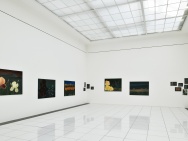 thmb-02-12339.jpg