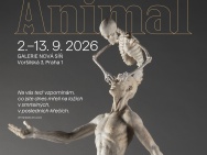 thmb-hosek-plakat-www-13056.jpg