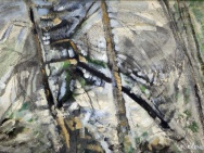thmb-milan-krenek-895.jpg