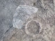 thmb-1665-1214.jpg