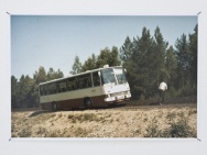 thmb-1447-1222.jpg