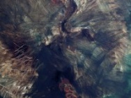 thmb-1737-1390.jpg
