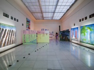 thmb-2506-1737.jpg